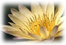 Help With Grief