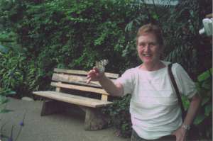 MAYNE: Karen (Wellock) of Thorndale