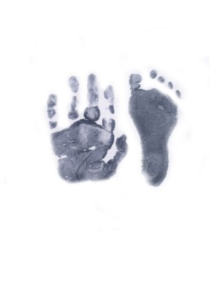 SCOTT: Lindsay Anne