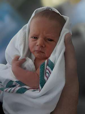 VANDERPLOEG: Mason William David of Toronto VANDERPLOEG: Mason William David of Toronto
